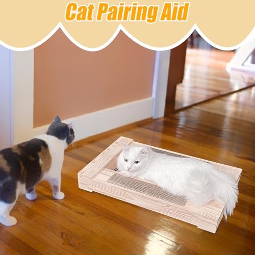 Tapis à griffer en bois à pattes courtes et tabouret pour chaton - 5