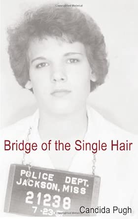 Bridge of the Single Hair book cover