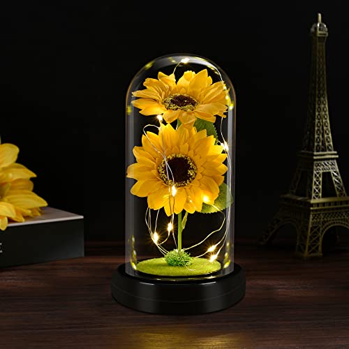 QUELIEN Regali di Girasole per Donna, Lampada a LED incantata,...