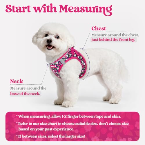 Image of rabbitgoo Dog Harness Medium Sized and Leash Set, Step-in Puppy Pet Vest