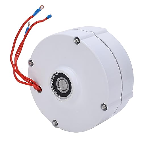 Alternateur AC triphasé FTVOGUE 48V 200W à aimant permanent NdFeB pour éolienne