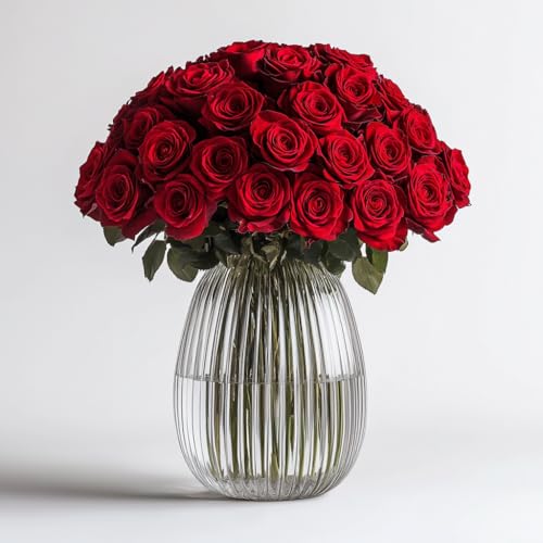 Globalrose 50-RED-ROSES-FREEDOM Roses- 50 Fresh Flowers- Beautiful Gift cover