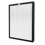 XD6220F0 HEPA and Activated Carbon Filter for Rowenta Pure Air Essential PU2530 PU2530F0 Air Purifier 2-in-1 Filter Replacement Composite Filter