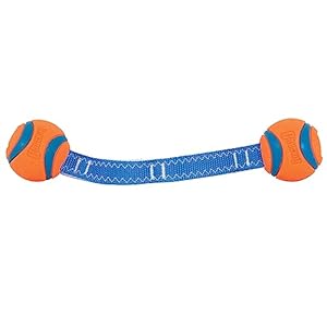   Chuckit-Ultra-Duo-Tug-Dog-Toy-Small-Indoor-and-Outdoor-Dog-Ball-for-Dogs-0-20-Pounds
