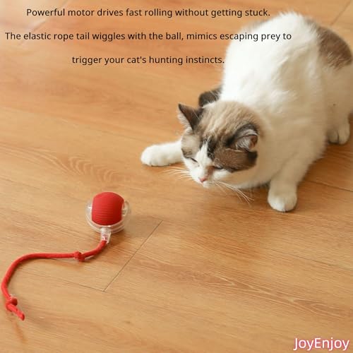 Interactive Cat Toy Rolling Ball - image 3