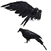 Crows