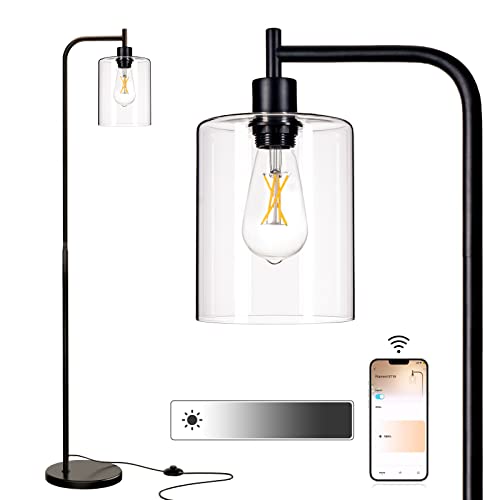 Addlon Industrial Dimmable Floor Lamp With Led Bulb (2700K/9W), Stylish Standing Lamp With Hanging Glass Lampshade - Pole Lamp For Living Room, Bedroom, Or Office - Black #TOP12