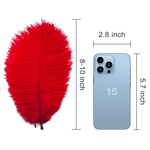 Plumes d'autruche rouges naturelles de qualité supérieure pour décoration Gatsby