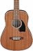 Ibanez PF2MH PF Performance 3/4-Size Dreadnought Acoustic Guitar - Open Pore Natural Bundle with Gig Bag, Tuner, Strap, Strings, Picks, Austin Bazaar Instructional DVD, and Polishing Cloth