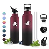 JAPORIA Gourde Isotherme 750ml, Bouteille Isotherme en Acier Inoxydable, Gourde Inox avec Paille, sans BPA pour l'École, Bureau, Extérieur, Camping