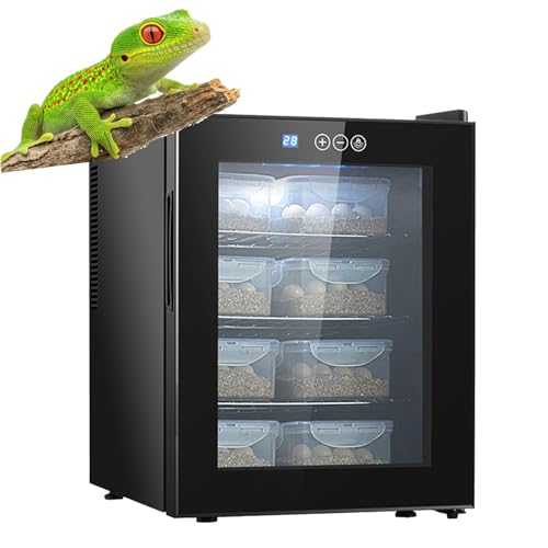 Armoire d'élevage de reptiles multicouche et incubateur Gecko automatique pour petits oiseaux