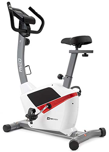 Hop-Sport Heimtrainer Fahrrad HS-2090H Aveo- Fahrradergometer mit Pulssensoren, Schwungmasse 9 kg - Ergometer für EIN max. Nutzergewicht von 120kg