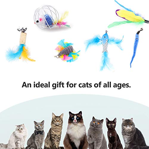 mewmewcat Conjunto de pacote de variedade de brinquedos interativos de brinquedo de 10 peças para ga