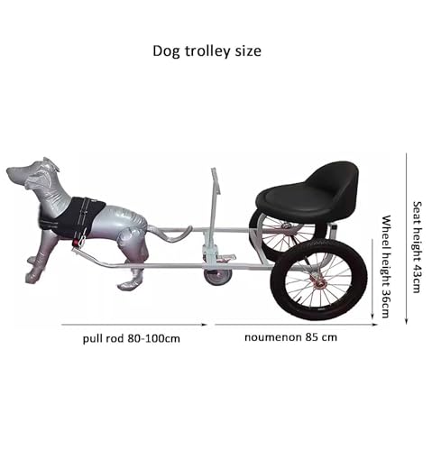 Hunde Ziehen Karren Kann Menschen Tragen,Mit Armlehnen+Hundeleine Hundekarren FüR Gepolsterte Sitze HundeanhäNger,TragfäHigkeit 100kg