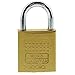 Burg WÃ¤chter Boccia 450 30 SB Padlock, 5 mm Shackle Thickness, Drilling and Pinch Protection, 2 Keys, Gold, 30 mm
