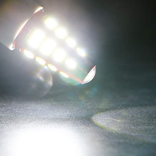 Riloer 2PCS Fanale posteriore per freno auto, T20