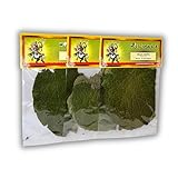 Nicomex - Hoja santa - Yerba santa - Saint Leaf. 100% Natural seasoning . ⅛ oz each bag (3.54gr), pack of 3 bags. (hierba santa, Mexican pepperleaf, root beer plant, anisillo, eared pepper, acuyo, sacred pepper).