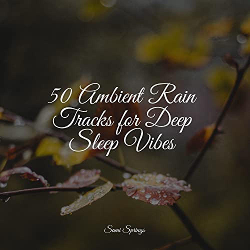 Écouter 50 Ambient Rain Tracks for Deep Sleep Vibes par Nature ...