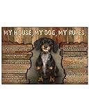 targa in metallo my house my dog my rules dachshund kennel retro targhe metallo divertente tin sign nostalgica metal signboard per garage ristorante cucina m