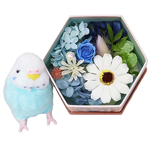 TEhAW \[vt[ vU[uht[ ̉ԏ ZLZCCR u[ a hV̓ ̓    FB 