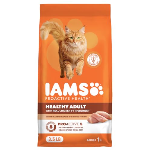 IAMS-Proactive-Health-Healthy-Adult-Dry-Cat-Food-Chicken-35-lb IAMS Proactive Health Healthy Adult Dry Cat Food, Chicken, 3.5 lb - Image 1
