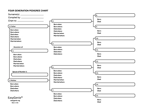 Easygenie 183924 Large Print Genealogy Charts And Forms Kit thumb #3