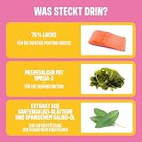 ivvi Trainingssnacks für Hunde – 73% Lachs, Omega-3 & Salbei-Komplex – Unterstützt Gedächtnis & Konzentration – Proteinreich, kalorienarm, ohne künstliche Zusätze