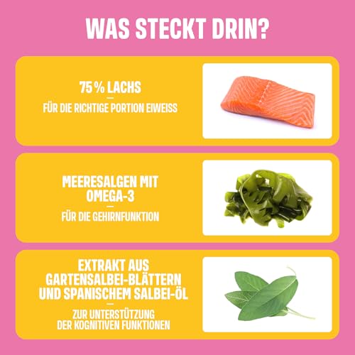 ivvi Trainingssnacks für Hunde – 73% Lachs, Omega-3 & Salbei-Komplex – Unterstützt Gedächtnis & Konzentration – Proteinreich, kalorienarm, ohne künstliche Zusätze
