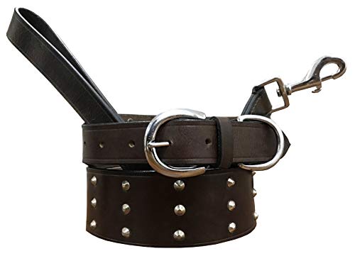 BRADLEY CROMPTON Echtleder Zusammenpassendes Paar Hundehalsband und Leinenset S