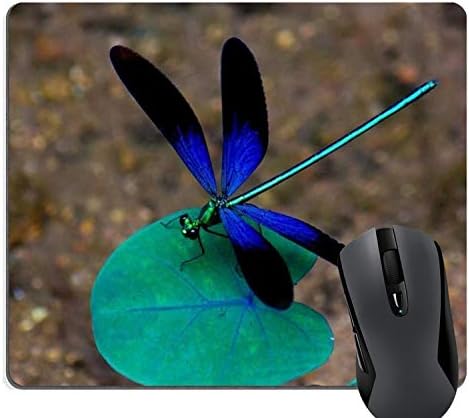 Dragonfly Mouse Pad, Mousepad