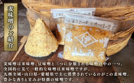 Amazon.co.jp: 麦みそ 1kg × 4個 計 4kg 井伊商店 全麦麹味噌 天然醸造