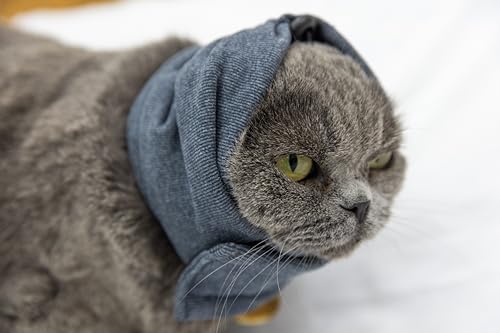 Image of Cat Hematoma Ear Wrap,Keep Calm Comfort Anti Anxiety&Stress Relief - Snood for Cat Surgery Recovery Grey S