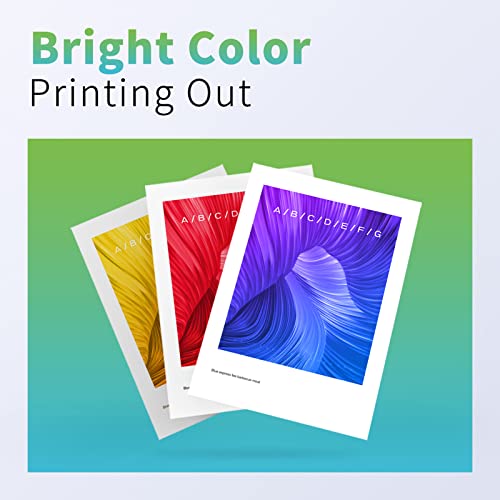 Mycartridge Suprint Compatible Ink Cartridge Replacement For Hp 902Xl 902 Xl For Officejet Pro 6978 6968 6962 6960 6958 6950 6970 (Black Cyan Magenta Yellow) Combo Pack 902 Xl #TOP2