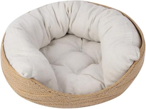 Xiraivke Lxbh Lpxbh ^ ybg\t@ \tg ybgpxbh ȉ~^  LQ  v _炩 lG ʔN^Cv ʋC ybgpi