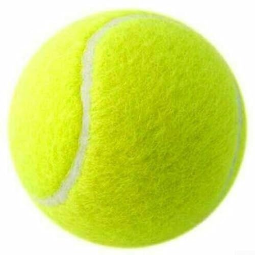 ZWEquipint Pelota de tenis para perros diseñada pensando en la durabilidad, perfecta para uso en exteriores