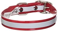 Algopix Similar Product 1 - Dublin Dog 17Inch to 215Inch KOA
