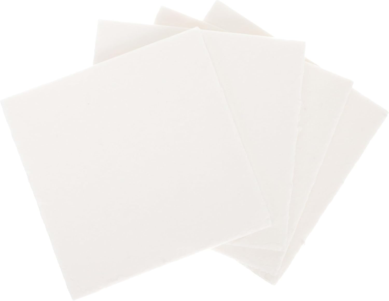 Toddmomy 4pcs Flower Press Blotting Papers Household Flower Press Specimen DIY Tools Plant Making Pressing Tools