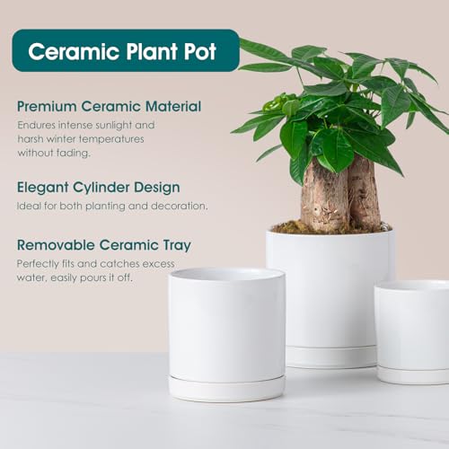 vancasso Ceramic Plant Pots, 3 Piece Planters for Indoor Plants, 4.25+5.25+6.25 Inch Flower Pots with Drainage, Plant Pots Indoor for Succulent, Pothos, Snake Plant and Money Tree, Etc (White) by vancasso - Used condition - Image 3
