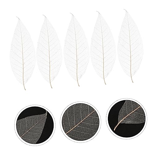 NOLITOY 200 Unidades Espécime De Folha De Magnólia Decoração De Casamento Marcador De Flor Prensado