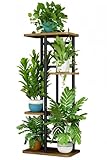LINZINAR Plant Stand Indoor 4 Tier 5 Potted Multiple Plant Shelf Stands for Garden Corner Balcony Living Room Black