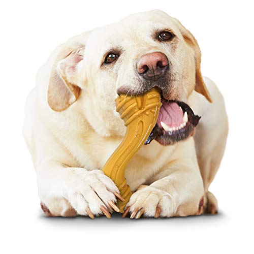 Nylabone Dog Toy Power Chew Dog Toy For Aggressive Chewers - Curvy Bone Dog Toy - Peanut Butter Large/Giant (1 Count) #TOP7