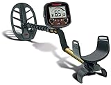 fisher detectors uk  Metal Detector Fisher F19 F 19 Piastra Ellittica 11\