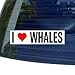 I Love Heart WHALES - Window Bumper Sticker