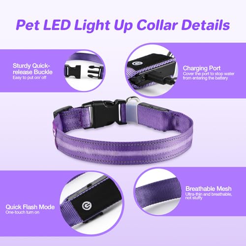 50% Off RUXAN Light Up Dog Collar for Night Walking Safety