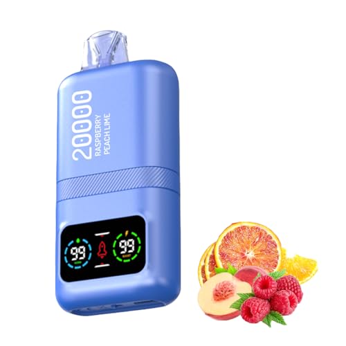 電子タバコ 使い捨てシーシャ【20000回吸引可能】デュアルモード調整可能 600mAh バッテリー&リキッド残量表示 爆煙設計 持ち運び便利 VAPE ベイプ 充電式Type-C 水蒸気たばこ 禁煙サポート人気フレーバー搭載 ニコチンゼロ (ラズベリーピ