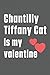 Chantilly Tiffany Cat is my valentine: For Chantilly Tiffany Cat Fans