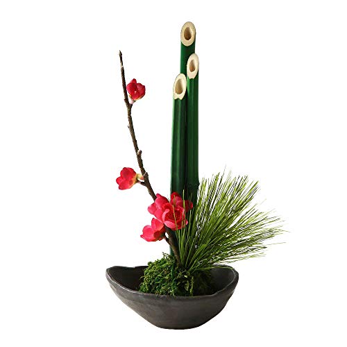 ԁyaAWzyԉV[YzVNt[AWEۋʂ̏|~AW