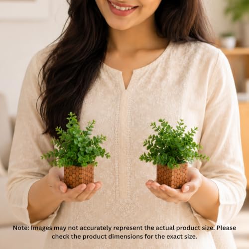 Image of DecoreBugs Artificial Eucalyptus Plant with Plastic Pot (Pack of 2) | 12 cm Height | Mini Potted Plants for Shelf Decor, Home, Office, Living Room, Desk & Table Item Decoration