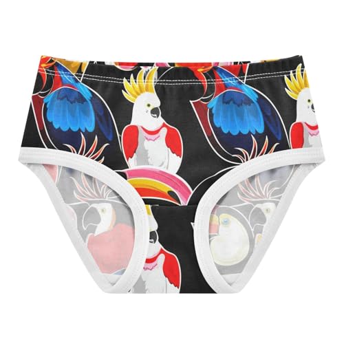 Colorful Exotic Birds Parrots Panties for Girl Toddler Underwear Floral Cotton Animals Briefs Underpants 2t