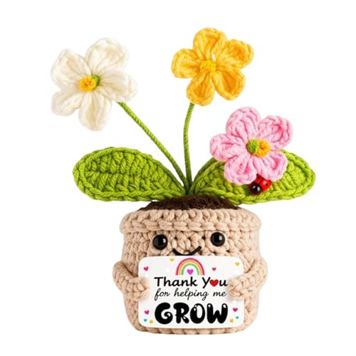 Thank You Teacher Gifts for Helping Me Grow Handmade Crochet Flowers in Pot Cute Positive Teacher Gift Nursery Preschool End of Term Teachers Gifts Leaving Thank You Gift